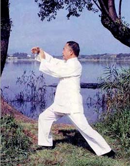 Maestro Chang Dsu Yao  Peng - Difesa alta